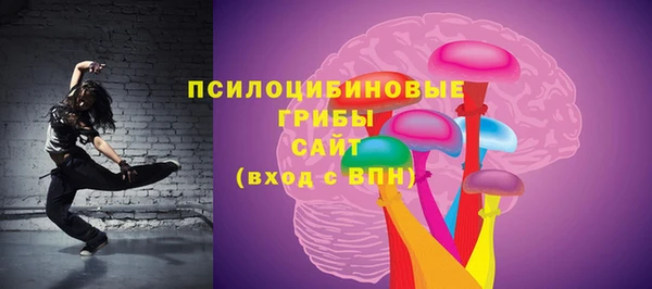 прущий лед Горняк