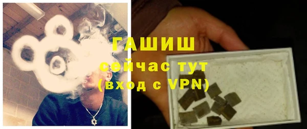 гидра Медвежьегорск
