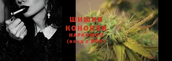 амф Мегион