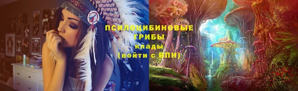 прущий лед Горняк